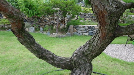Buan sukranjeong pension, Buan, South Korea
