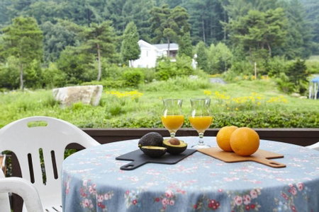 Morning Sound, Pyeongchang, South Korea