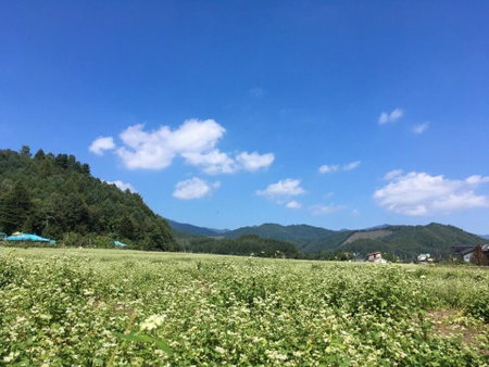 Morning Sound, Pyeongchang, South Korea