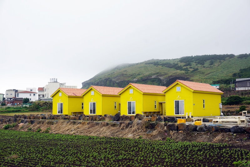 Udo Sunflower Pension and Guesthouse, Jeju City, South Korea