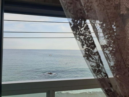 Dream Pension, Yeongdeok, South Korea