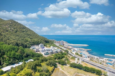 Nuri (Blue Road Town Pension, Yeongdeok, South Korea