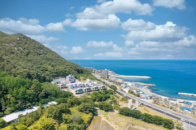 Nuri (Blue Road Town Pension, Yeongdeok, South Korea