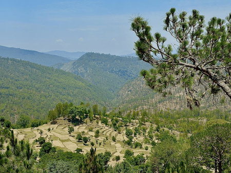 Pine Country Resort, Mukteswar, India