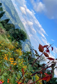 Montavilla Eden Homestay Sittong, Kurseong, India