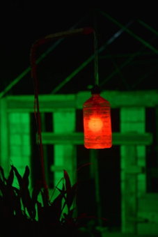 Montavilla Eden Homestay Sittong, Kurseong, India