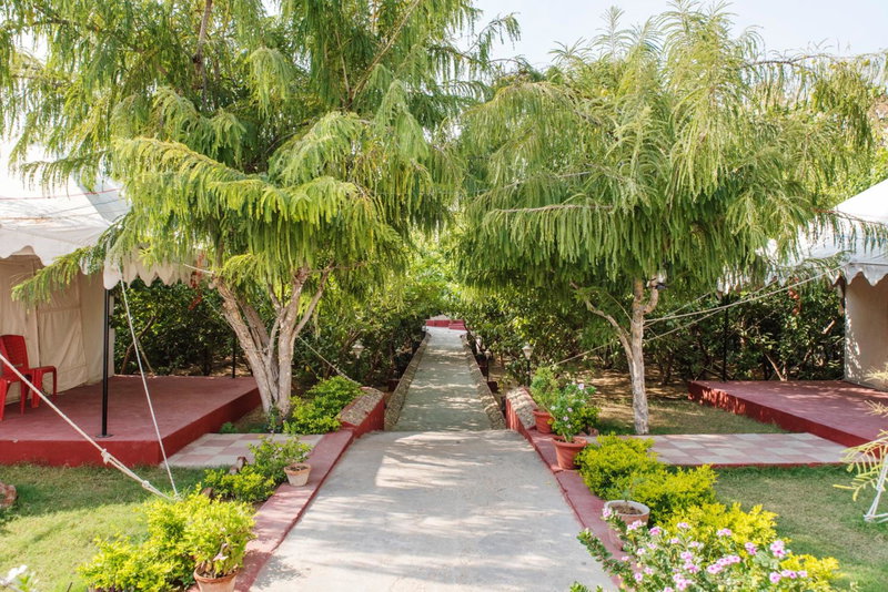 Ranthambhore National Resort, Sawāi Mādhopur, India