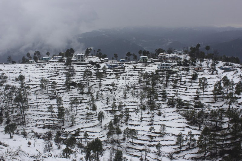 Traveller Hive Kasar Devi, Almora, India