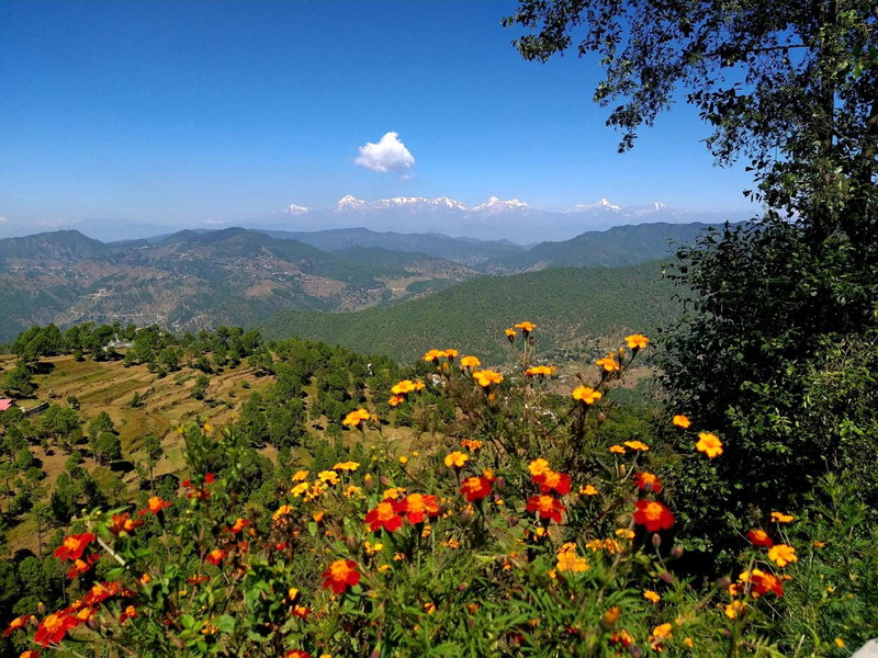 Traveller Hive Kasar Devi, Almora, India