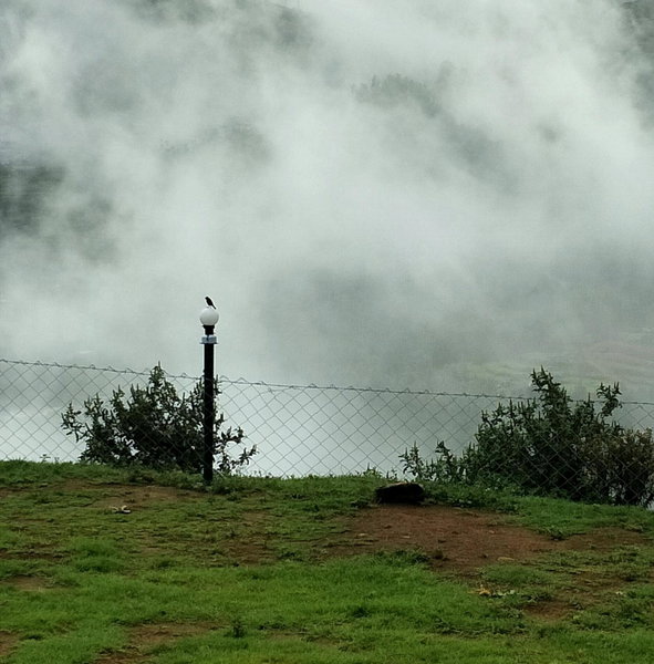 The Bowers Chalet Private Campfire & Lawn BBQ, WIFI, Breakfast Hill Top 360 degree view, Ooty, India