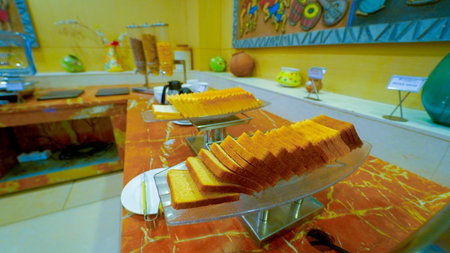 Hotel the Plaza, Hyderabad, India