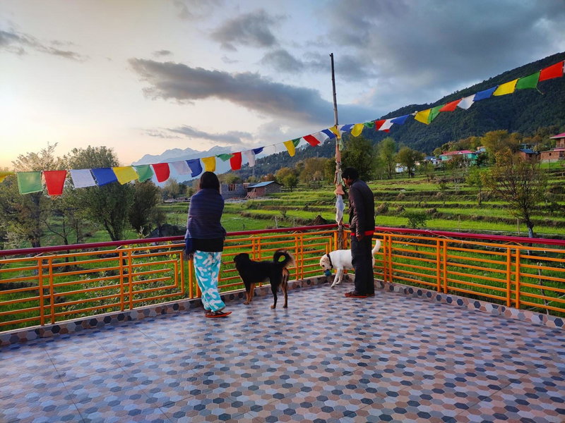 Bir Nest Hostel, Bīr, India
