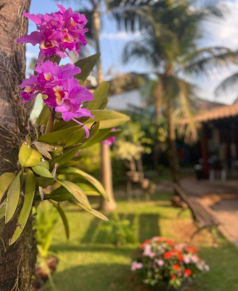 Castelo Inn Hotel, Goiânia, Brazil