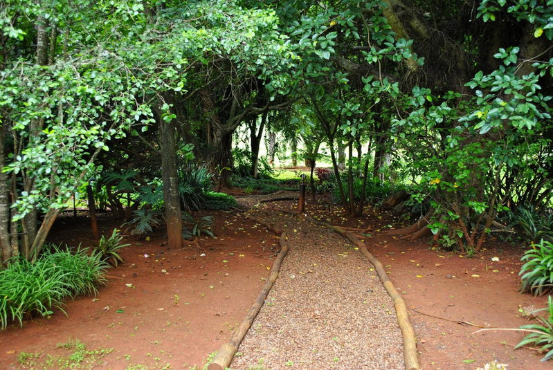 Mount Azimbo Lodge, Louis Trichardt, South Africa