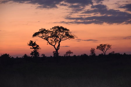 Khumbula iAfrica 1, Marloth Park, South Africa