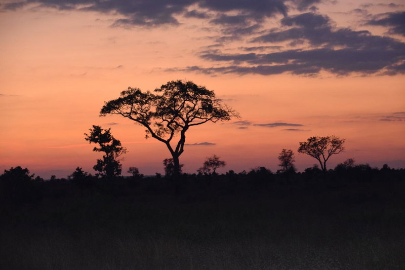 Khumbula iAfrica 1, Marloth Park, South Africa