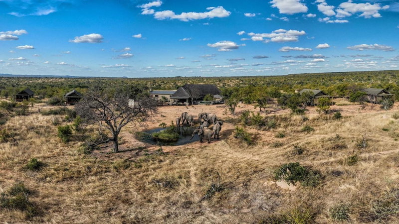 Imagine Africa Luxury Tented Camp, Balule Game Reserve, South Africa