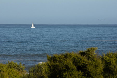 Lekke Ekke, Lambertʼs Bay, South Africa