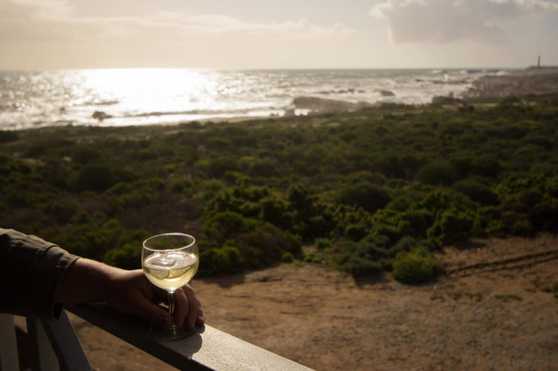 Lekke Ekke, Lambertʼs Bay, South Africa