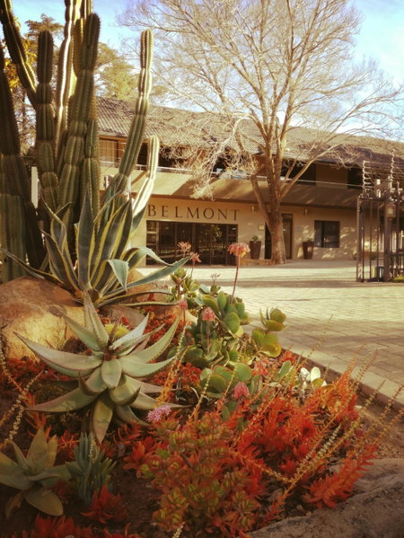Belmont Guesthouse, Bloemfontein, South Africa