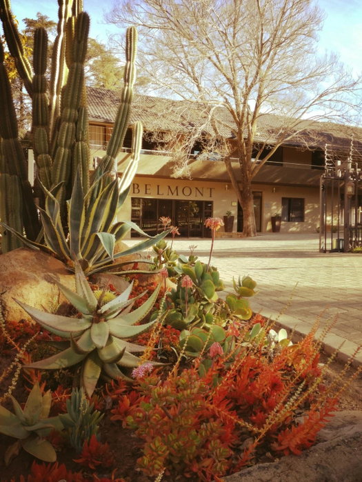 Belmont Guesthouse, Bloemfontein, South Africa
