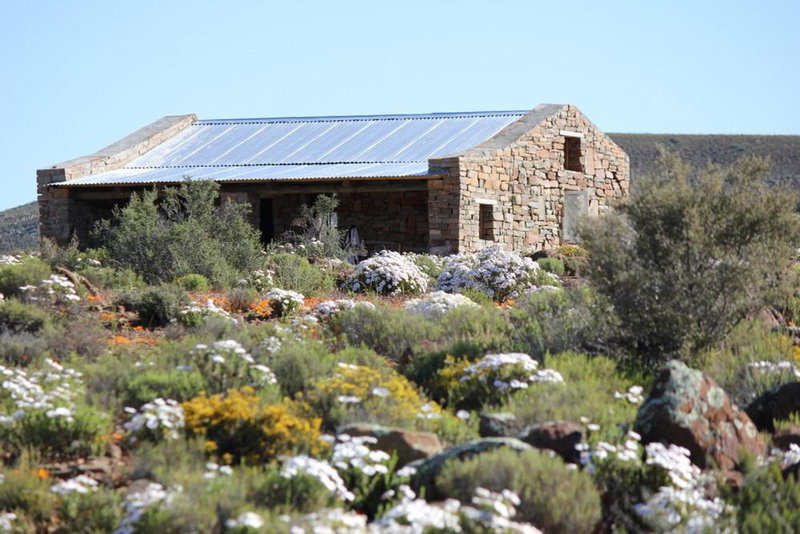 Middelfontein Farm, Sutherland, South Africa