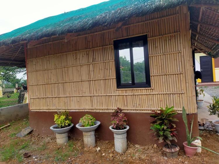Casa de Flores, Alaminos, Philippines