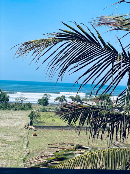 Dikaloha Surfschool and Stay, Airsatang, Indonesia