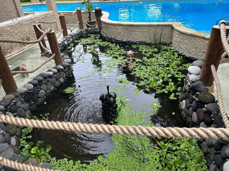 Lunar Dive Resort: Bamboo Villas, Kubu, Indonesia