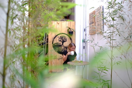 Wood Stone Homestay Yogyakarta, Yogyakarta, Indonesia