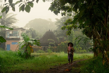 Omah minggir, Sleman, Indonesia