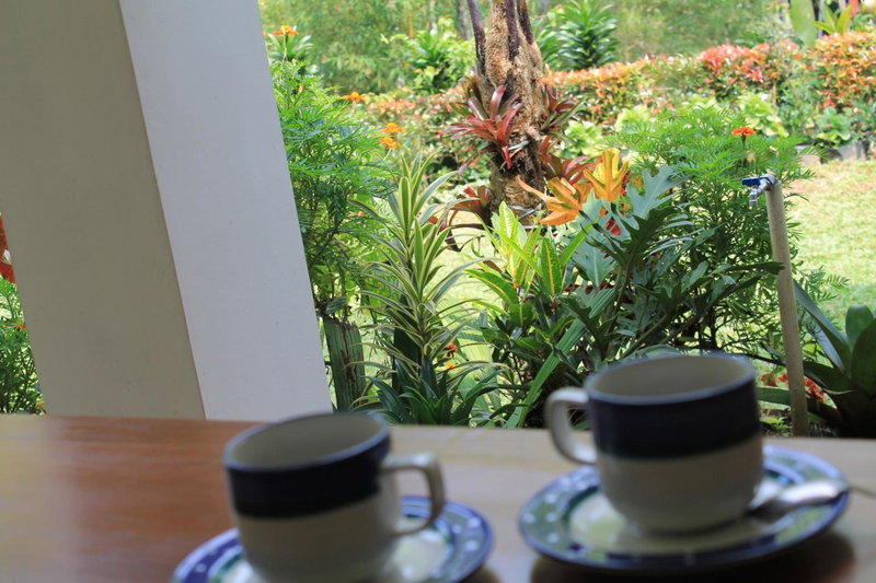 The Forest Villa, Bogor, Indonesia