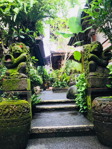 Pangkung House, Ubud, Indonesia