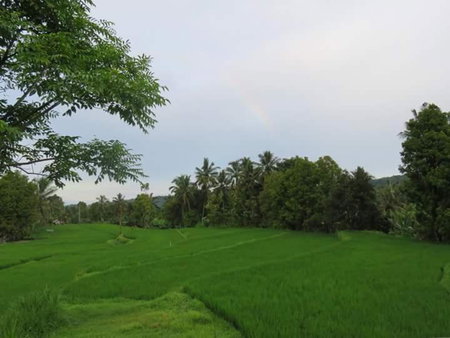 Yoga Homestay, Munduk, Indonesia