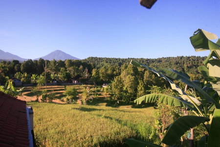 Yoga Homestay, Munduk, Indonesia