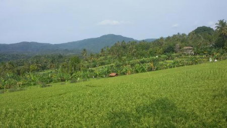 Yoga Homestay, Munduk, Indonesia
