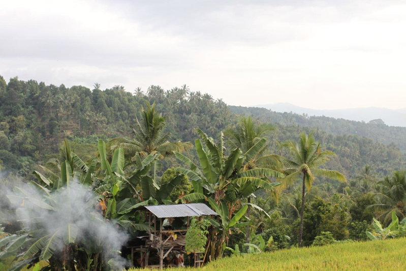 Yoga Homestay, Munduk, Indonesia