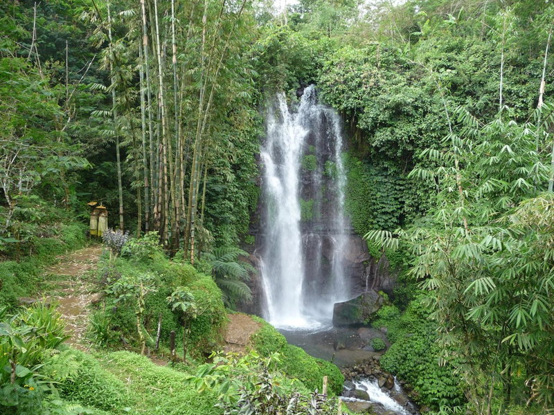 Yoga Homestay, Munduk, Indonesia