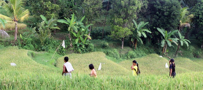 Yoga Homestay, Munduk, Indonesia
