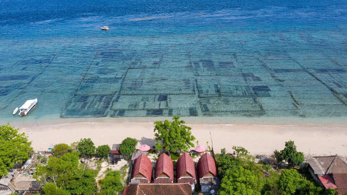 Santen Beach Bungalows, 인도네시아 공화국