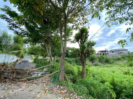The Bingin Green View by Bukit Vista, Uluwatu, Indonesia