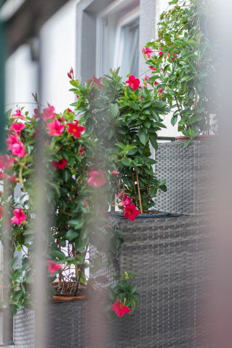 Orchideen Apartment, Villach, Austria