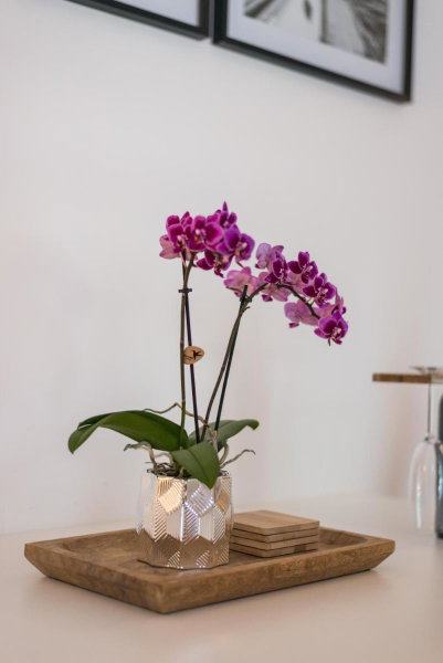 Orchideen Apartment, Villach, Austria