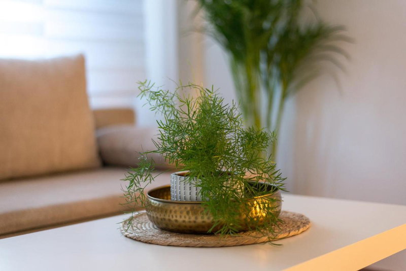 Orchideen Apartment, Villach, Austria