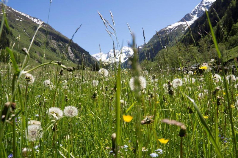 Garni Rösslhof, Hollersbach im Pinzgau, Austria