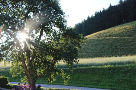 Biohof Schmiedbauer, Sankt Martin, Austria