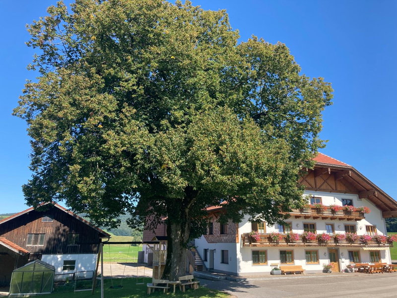 Biohof-Feichtinger, Zell am Moos, Austria