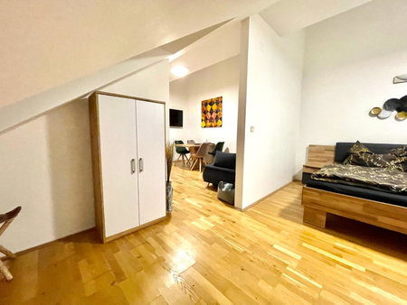Klimatisiertes, Ruhiges Dachgeschoß CityApartment im Zentrum Wiens, Vienna, Austria