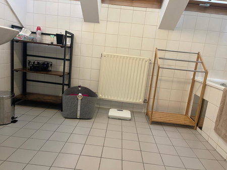 Klimatisiertes, Ruhiges Dachgeschoß CityApartment im Zentrum Wiens, Vienna, Austria