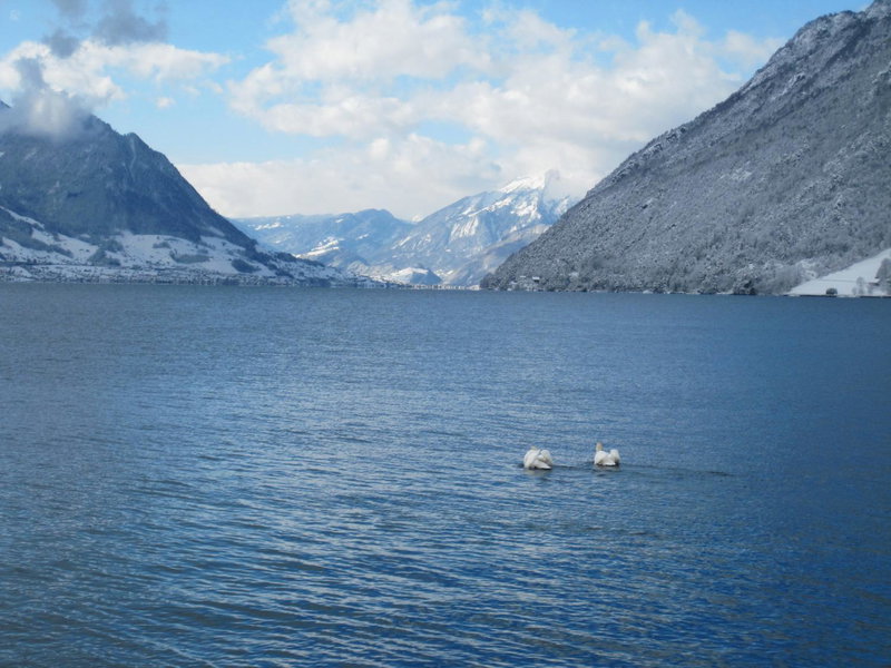 City Hotel, Brunnen, Switzerland